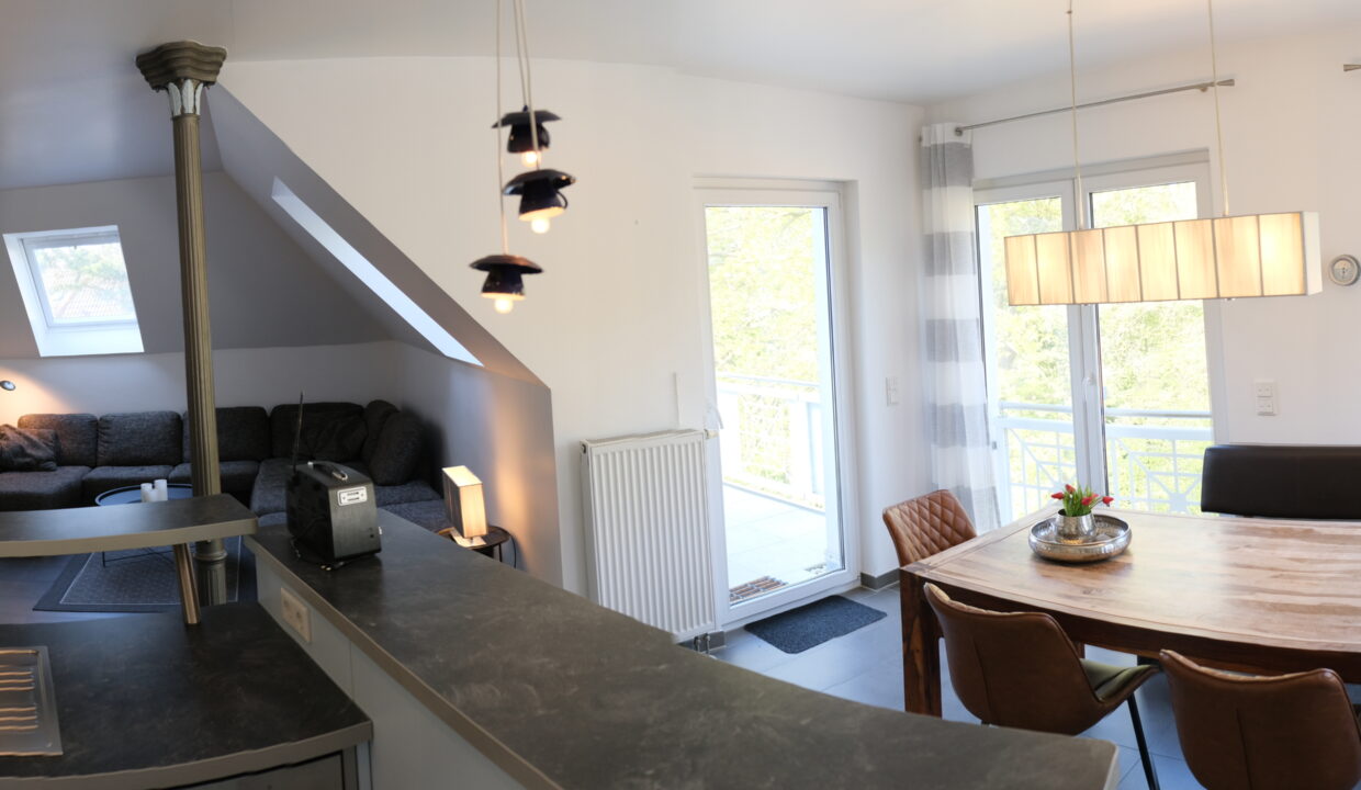 Küche mit WZ und Esstisch