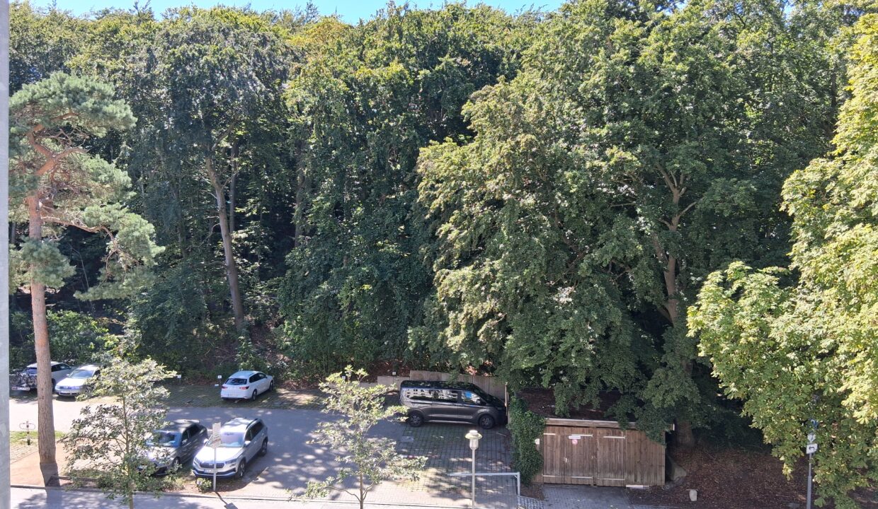 Balkon Wald