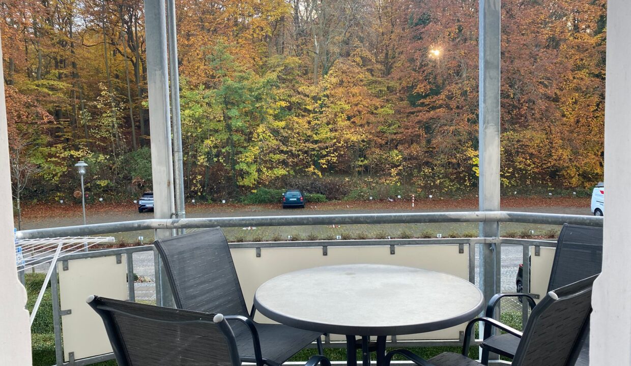 Balkon zur Waldseite